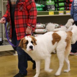 photograph by PeterW